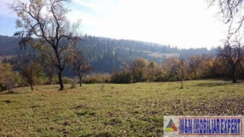 teren-extravilan-109-ha-de-vanzare-in-bughea-de-sus-arges-5