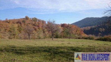 teren-extravilan-109-ha-de-vanzare-in-bughea-de-sus-arges-6