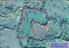 teren-extravilan-109-ha-de-vanzare-in-bughea-de-sus-arges-7