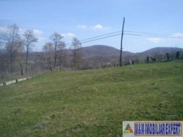teren-extravilan-5665-mp-de-vanzare-in-albestii-de-muscel-candesti-ideal-pentru-investitii-agricole-1