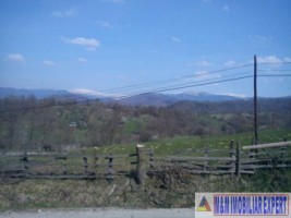teren-extravilan-5665-mp-de-vanzare-in-albestii-de-muscel-candesti-ideal-pentru-investitii-agricole-2