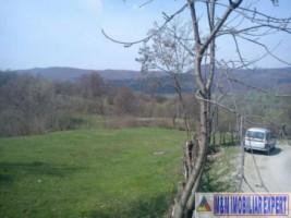 teren-extravilan-5665-mp-de-vanzare-in-albestii-de-muscel-candesti-ideal-pentru-investitii-agricole-3
