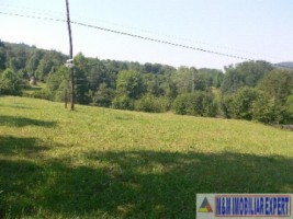 teren-extravilan-5665-mp-de-vanzare-in-albestii-de-muscel-candesti-ideal-pentru-investitii-agricole-4