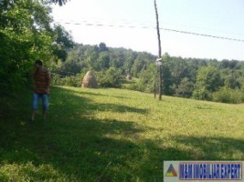 teren-extravilan-5665-mp-de-vanzare-in-albestii-de-muscel-candesti-ideal-pentru-investitii-agricole-5