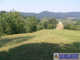 teren-extravilan-5665-mp-de-vanzare-in-albestii-de-muscel-candesti-ideal-pentru-investitii-agricole-6