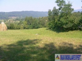 teren-extravilan-5665-mp-de-vanzare-in-albestii-de-muscel-candesti-ideal-pentru-investitii-agricole-7