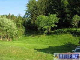 teren-3850-mp-intravilan-dragoslavele-2