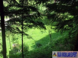 teren-3850-mp-intravilan-dragoslavele-5