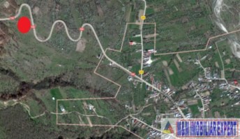 teren-livada-29-ha-extravilan-domnesti-7