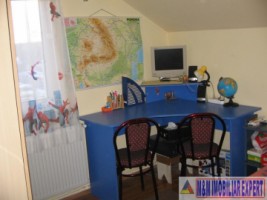 vila-cu-7-camere-si-teren-de-500-mp-de-vanzare-in-berceni-ilfov-ideala-pentru-familii-mari-9