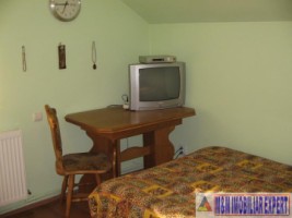 vila-cu-7-camere-si-teren-de-500-mp-de-vanzare-in-berceni-ilfov-ideala-pentru-familii-mari-6