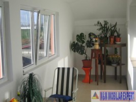 vila-cu-7-camere-si-teren-de-500-mp-de-vanzare-in-berceni-ilfov-ideala-pentru-familii-mari-7