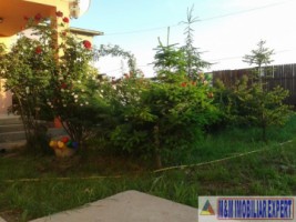 vila-cu-7-camere-si-teren-de-500-mp-de-vanzare-in-berceni-ilfov-ideala-pentru-familii-mari-15