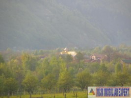 vandut-4