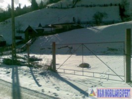 teren-300-mp-intravilan-rucar-satic-3