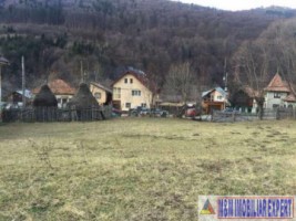 teren-intravilan-3075-mp-de-vanzare-in-dragoslavele-arges-oportunitate-ideala-pentru-investitii-imobiliare-1