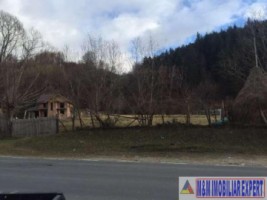 teren-intravilan-3075-mp-de-vanzare-in-dragoslavele-arges-oportunitate-ideala-pentru-investitii-imobiliare-2