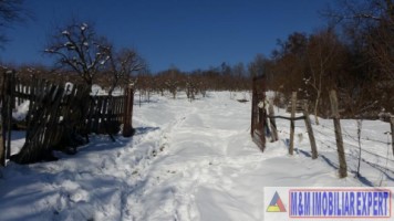 teren-21-ha-intraextravilan-de-vanzare-in-malu-cu-flori-dambovita-ideal-pentru-constructii-si-agricultura-1