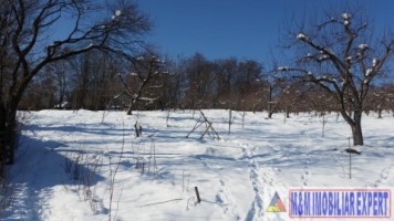 teren-21-ha-intraextravilan-de-vanzare-in-malu-cu-flori-dambovita-ideal-pentru-constructii-si-agricultura-3