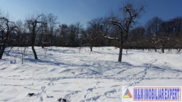teren-21-ha-intraextravilan-de-vanzare-in-malu-cu-flori-dambovita-ideal-pentru-constructii-si-agricultura-4
