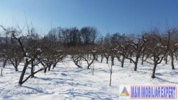 teren-21-ha-intraextravilan-de-vanzare-in-malu-cu-flori-dambovita-ideal-pentru-constructii-si-agricultura-8