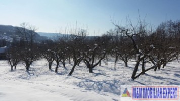 teren-21-ha-intraextravilan-de-vanzare-in-malu-cu-flori-dambovita-ideal-pentru-constructii-si-agricultura-9