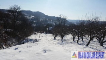 teren-21-ha-intraextravilan-de-vanzare-in-malu-cu-flori-dambovita-ideal-pentru-constructii-si-agricultura-10