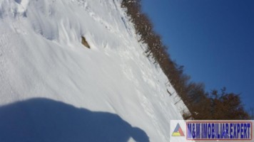 teren-21-ha-intraextravilan-de-vanzare-in-malu-cu-flori-dambovita-ideal-pentru-constructii-si-agricultura-11