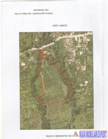 teren-21-ha-intraextravilan-de-vanzare-in-malu-cu-flori-dambovita-ideal-pentru-constructii-si-agricultura-12