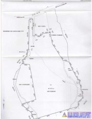 teren-21-ha-intraextravilan-de-vanzare-in-malu-cu-flori-dambovita-ideal-pentru-constructii-si-agricultura-13