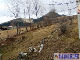 teren-intravilan-de-7600-mp-in-stoenesti-piatra-ideal-pentru-dezvoltare-turistica-7