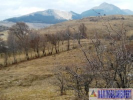 teren-intravilan-de-7600-mp-in-stoenesti-piatra-ideal-pentru-dezvoltare-turistica-9