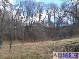 teren-106-ha-intravilan-bughea-de-jos