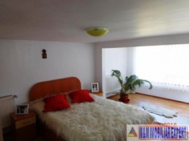 vila-8-camere-teren-700-mp-rucar-5