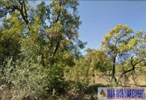 teren-5000-mp-intravilan-central-campulung-muscel-arges-2