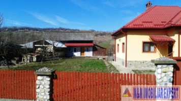 casa-4-camere-cu-teren-de-1300-mp-in-godeni-arges-locuinta-confortabila-pentru-familii-13