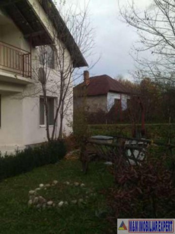 vila-4-camere-teren-2170-mp-merisani-3