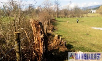 teren-extravilan-3569-mp-faneata-de-vanzare-in-bughea-de-sus-ideal-pentru-activitati-agricole-1