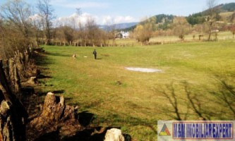 teren-extravilan-3569-mp-faneata-de-vanzare-in-bughea-de-sus-ideal-pentru-activitati-agricole-2