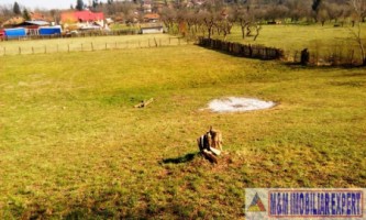 teren-extravilan-3569-mp-faneata-de-vanzare-in-bughea-de-sus-ideal-pentru-activitati-agricole-4
