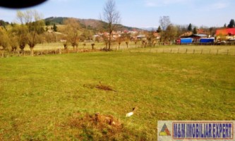 teren-extravilan-3569-mp-faneata-de-vanzare-in-bughea-de-sus-ideal-pentru-activitati-agricole-5