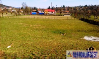 teren-extravilan-3569-mp-faneata-de-vanzare-in-bughea-de-sus-ideal-pentru-activitati-agricole-6
