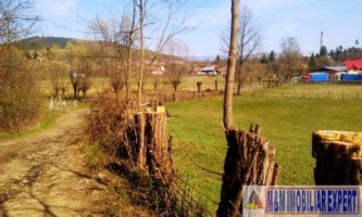 teren-extravilan-3569-mp-faneata-de-vanzare-in-bughea-de-sus-ideal-pentru-activitati-agricole-9
