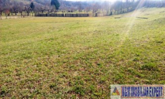 teren-extravilan-3569-mp-faneata-de-vanzare-in-bughea-de-sus-ideal-pentru-activitati-agricole-10