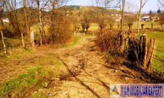 teren-extravilan-3569-mp-faneata-de-vanzare-in-bughea-de-sus-ideal-pentru-activitati-agricole-11