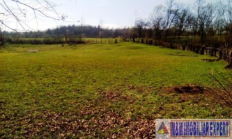 teren-extravilan-3569-mp-faneata-de-vanzare-in-bughea-de-sus-ideal-pentru-activitati-agricole-12