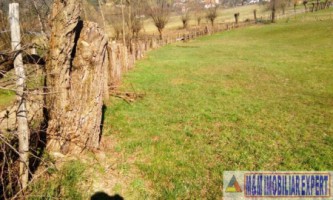 teren-extravilan-3569-mp-faneata-de-vanzare-in-bughea-de-sus-ideal-pentru-activitati-agricole-7