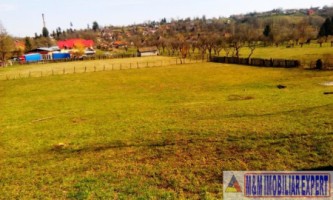 teren-extravilan-3569-mp-faneata-de-vanzare-in-bughea-de-sus-ideal-pentru-activitati-agricole-8