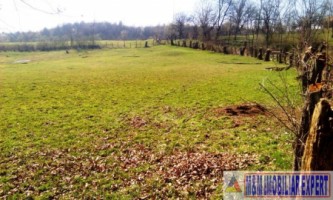 teren-extravilan-3569-mp-faneata-de-vanzare-in-bughea-de-sus-ideal-pentru-activitati-agricole-13