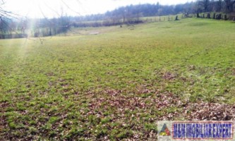 teren-extravilan-3569-mp-faneata-de-vanzare-in-bughea-de-sus-ideal-pentru-activitati-agricole-14